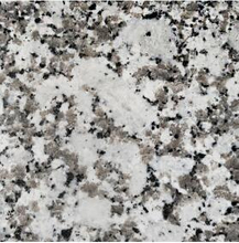Flower White Granite