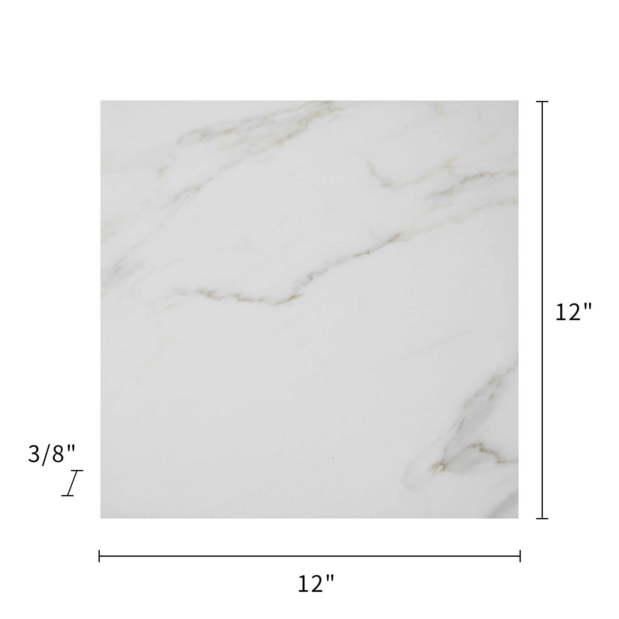 Calacatta Marble Tile Polished 12"x12"
