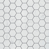 4" Hexagon Statuario White Inkjet Matte Glazed Porcelain Matte Mosaic 000725